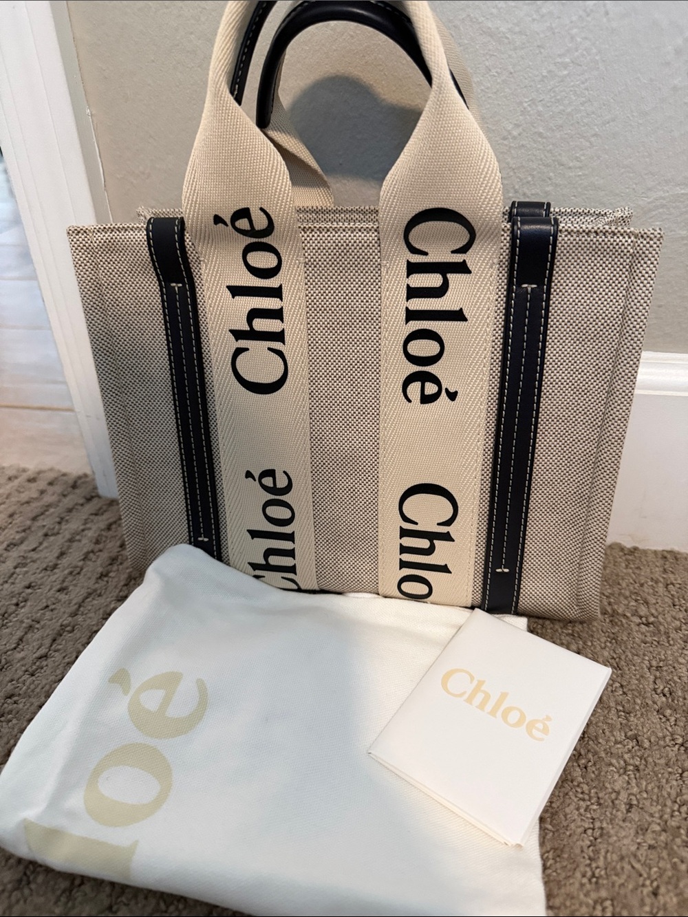 Chloé Woody Small Tote Bag